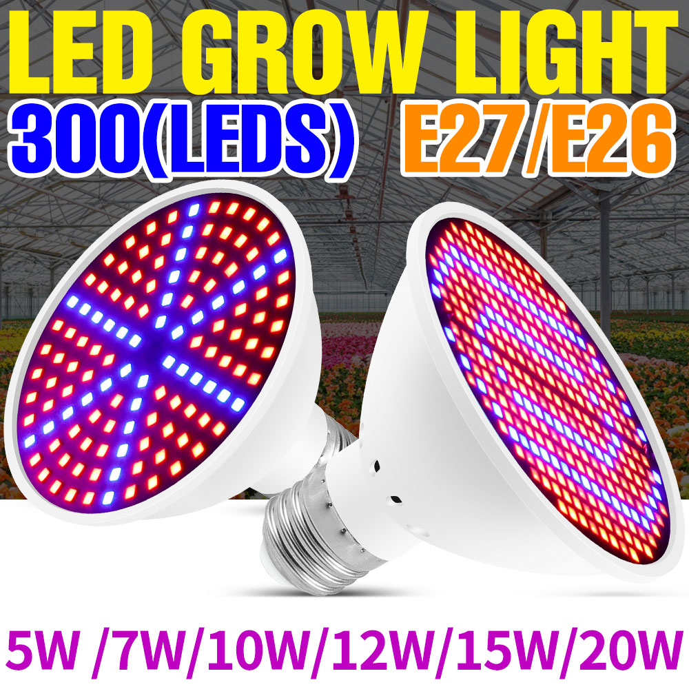 25W E27 Full Spectrum LED Plan - Echeveria Succulent recension och pris