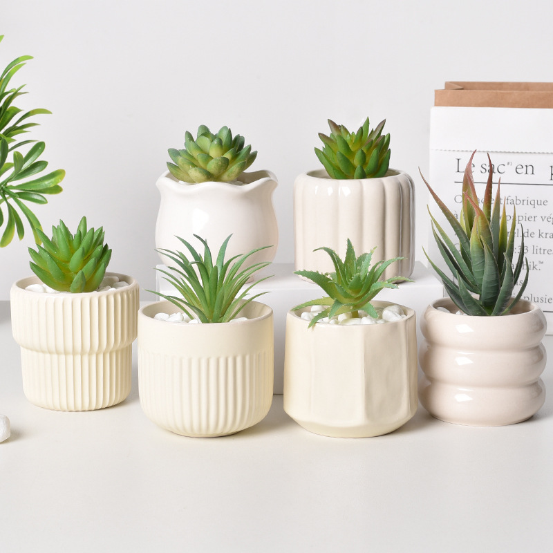 Ceramic Self-Watering Succulen - Echeveria Succulent recension och pris