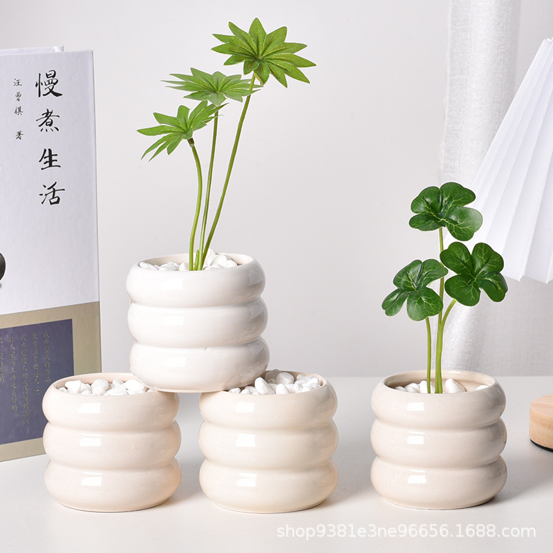 Ceramic Self-Watering Succulen - Echeveria Succulent recension och pris