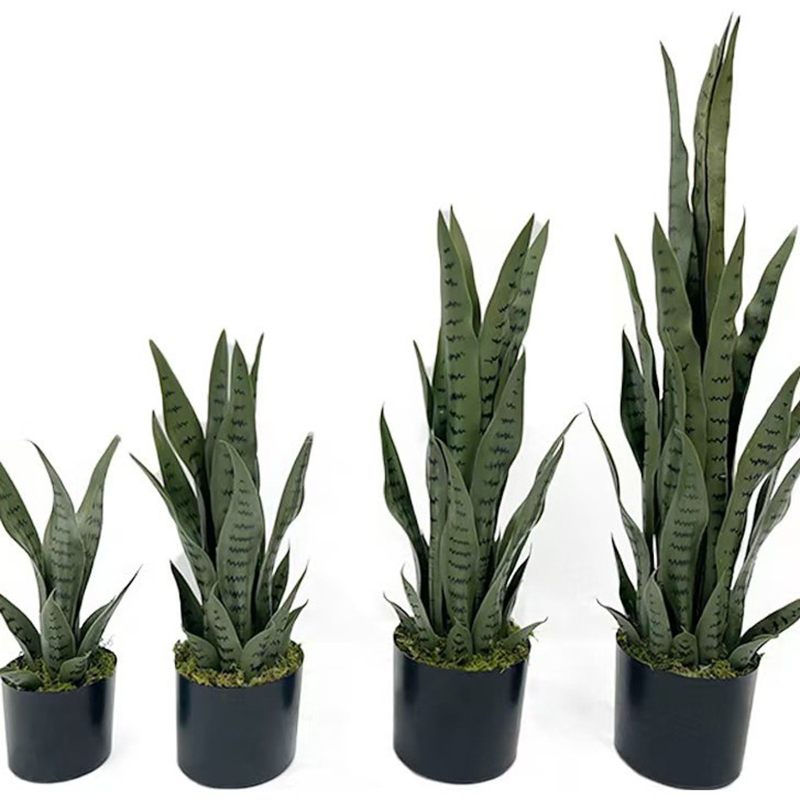 40-100cm Artificial Sansevieri - Ficus Lyrata Tree recension och pris