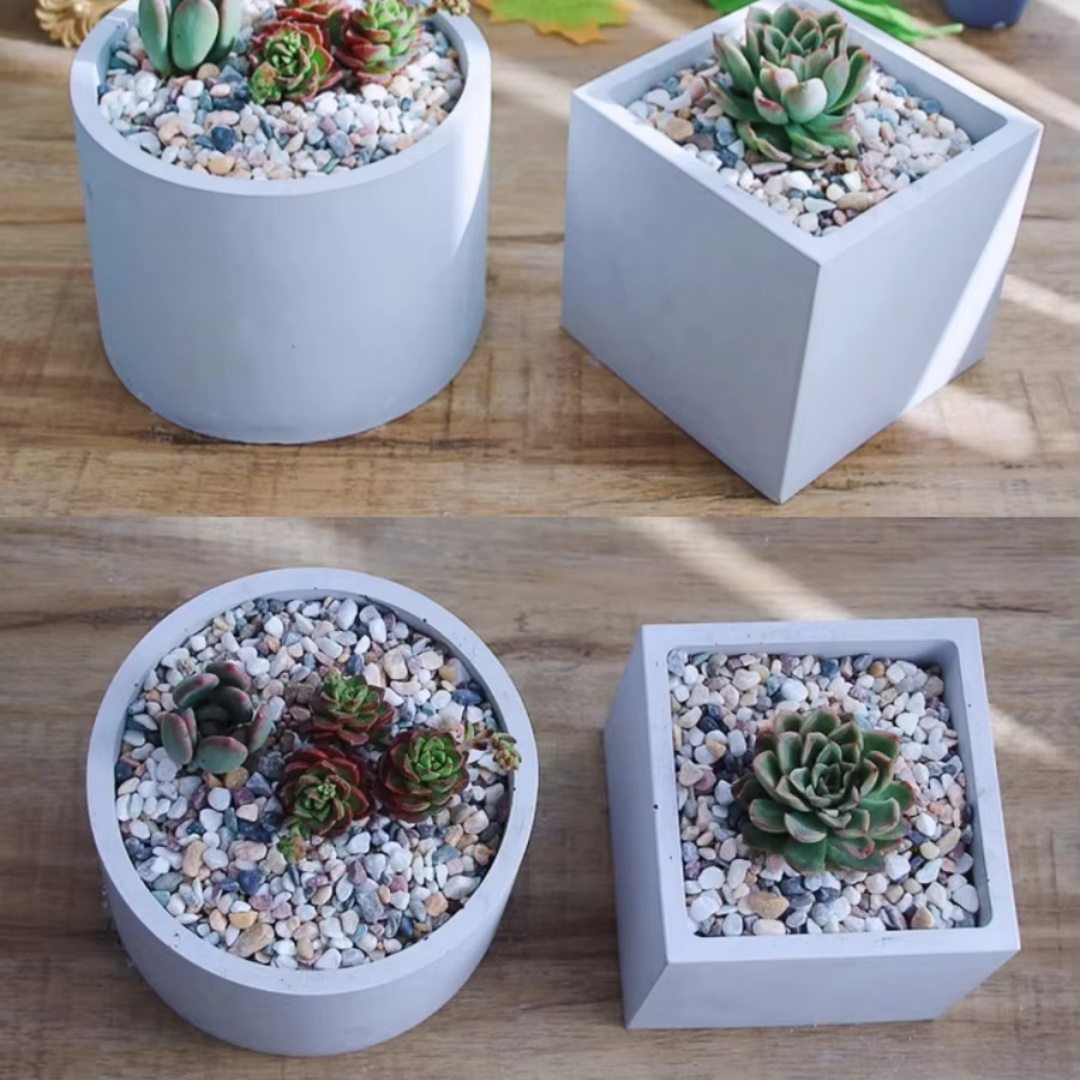 15cm Large Size Round Concrete - Echeveria Succulent recension och pris