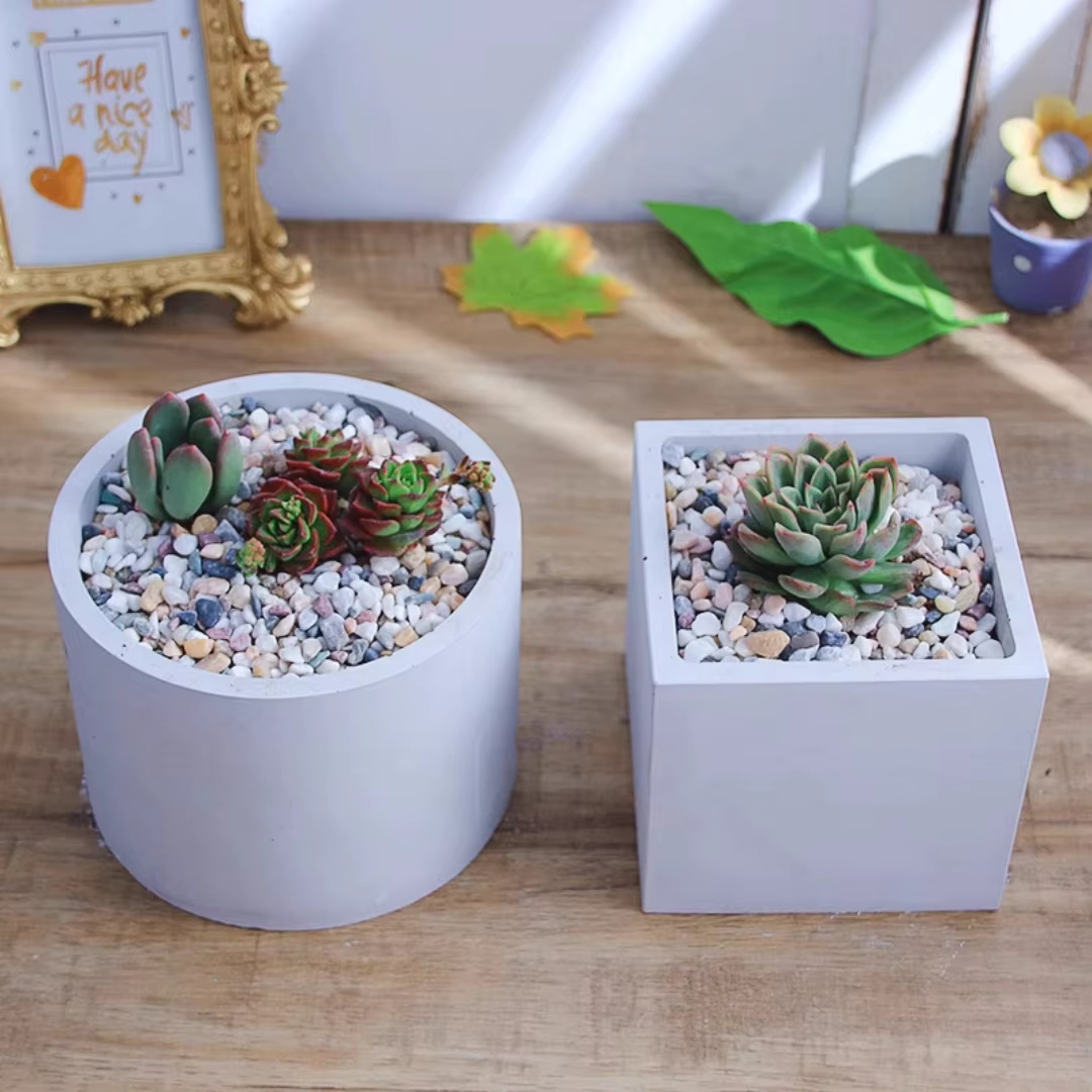 15cm Large Size Round Concrete - Echeveria Succulent recension och pris