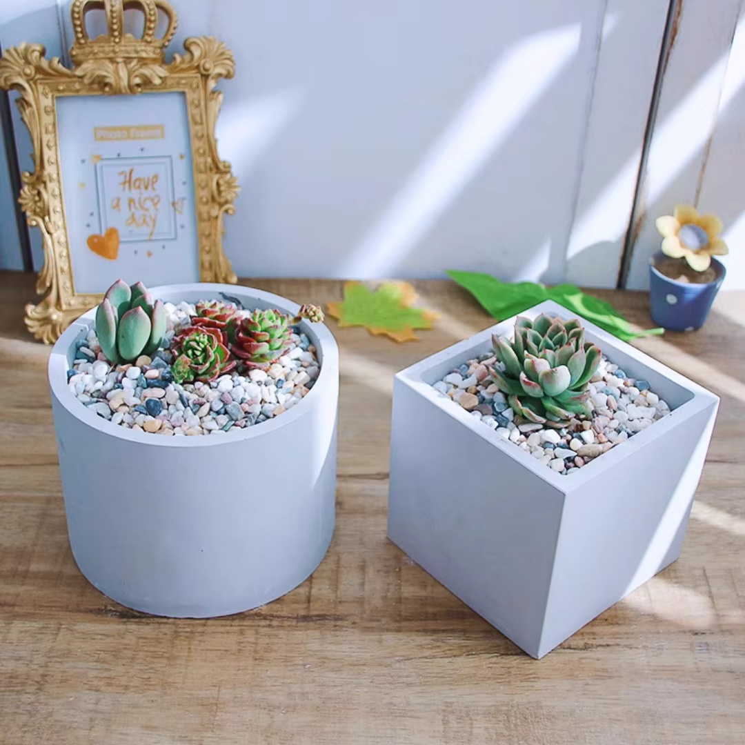 15cm Large Size Round Concrete - Echeveria Succulent recension och pris